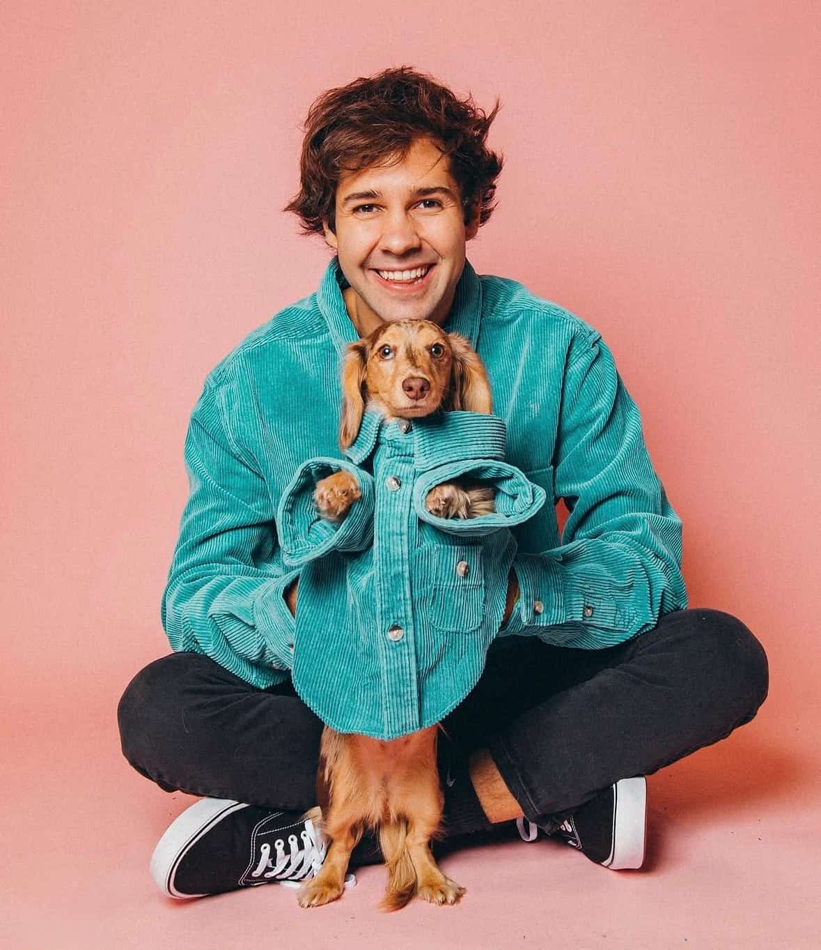David Dobrik, creator on Zulachat